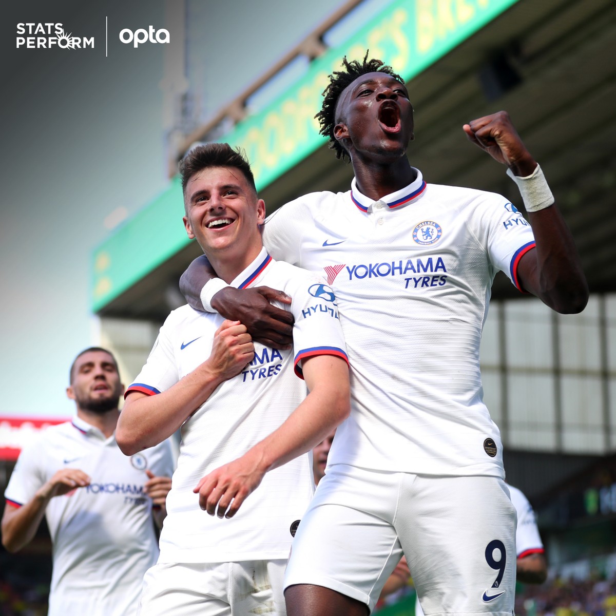 他们赢得了 他们赢得了