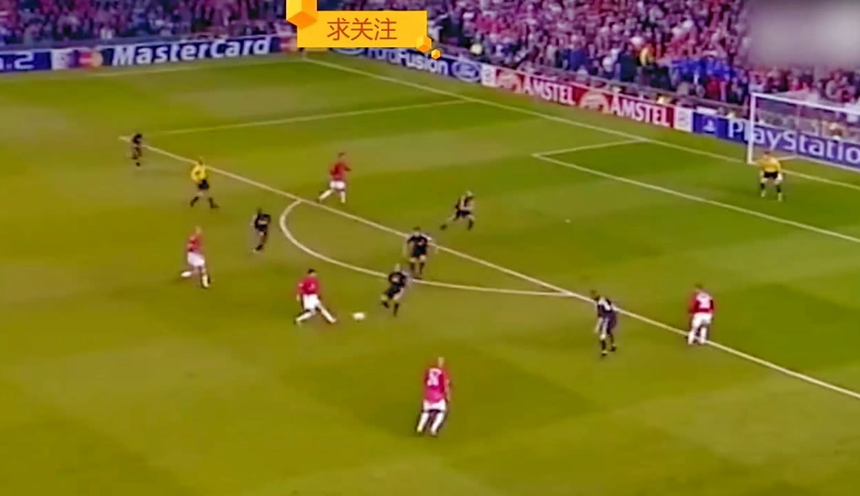 海归球员参 海归球员参